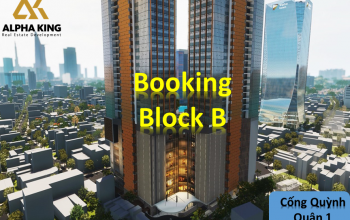 Block B – Alpha Hill Cống Quỳnh Q1